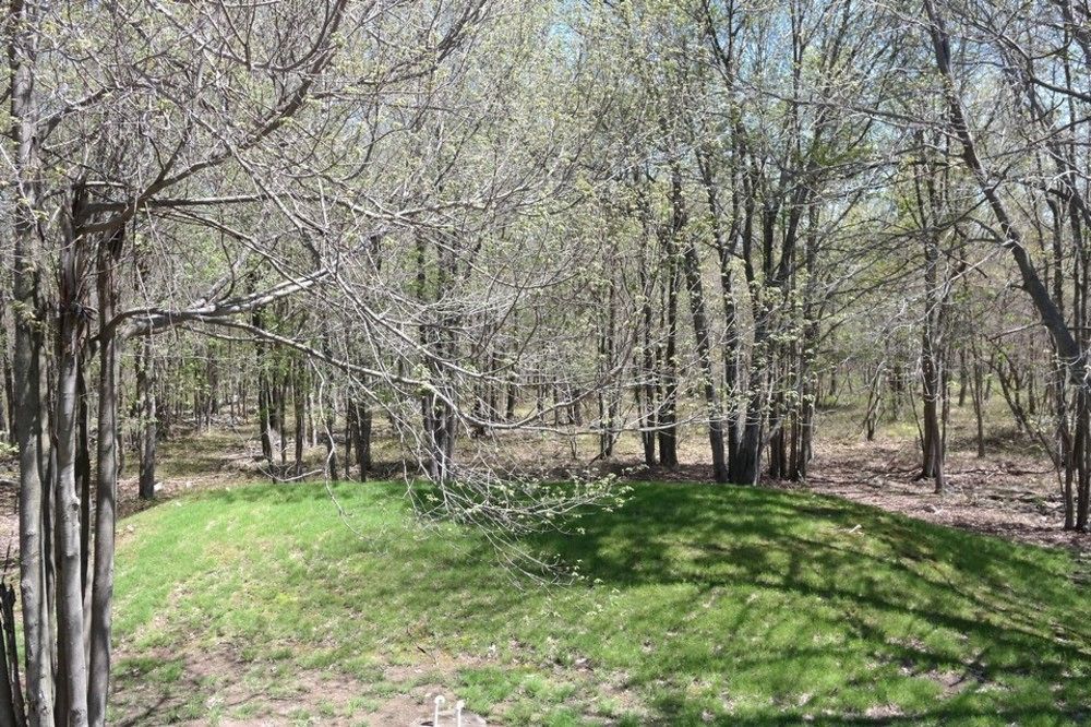 Rentals At Brier Crest Woods Lake Harmony Exteriör bild